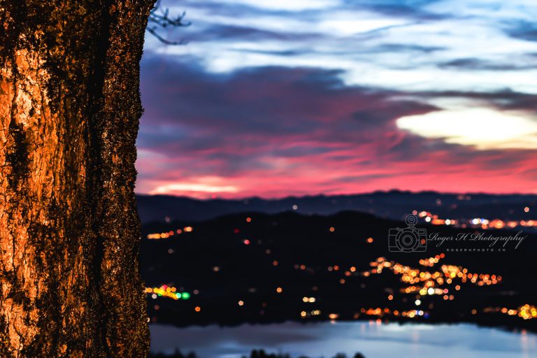 Sonnenuntergang mit leuchtenden Lichtern einer Stadt und einem Baumstamm im Vordergrund