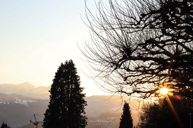Sonnenstrahlen im Dreilindenpark Luzern