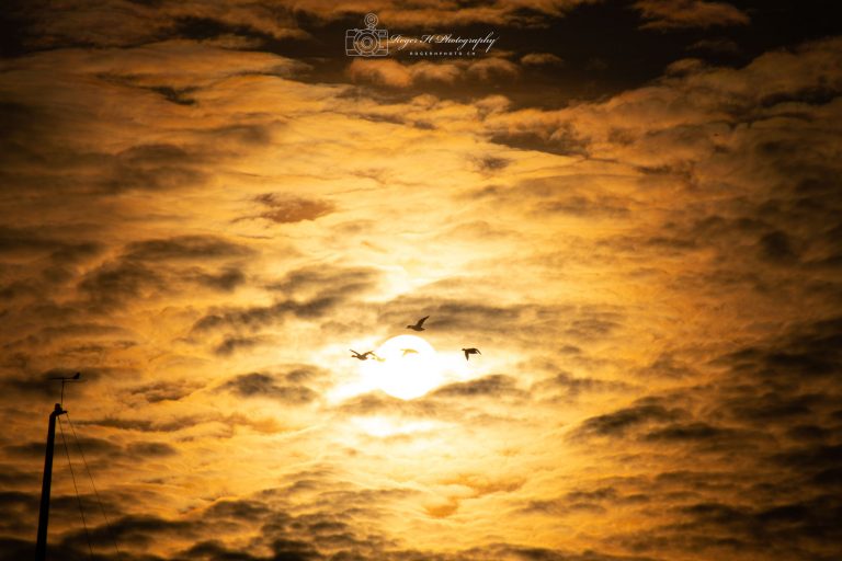 In den Lüften des Sonnenuntergangs